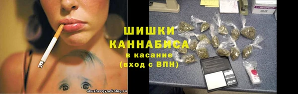гашик Богданович
