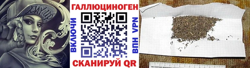 Псилоцибиновые грибы Psilocybine cubensis  darknet Telegram  Новомичуринск  блэк спрут зеркало 